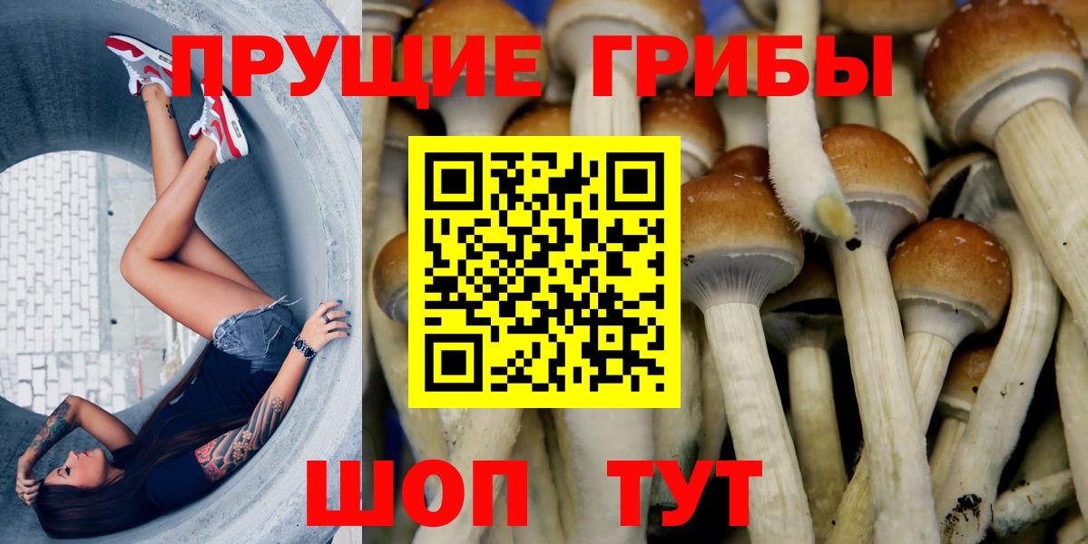 Можга  Псилоцибиновые грибы прущие грибы  Галлюциногенные грибы прущие грибы  Вход с VPN 